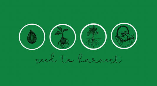 Seed to Harvest